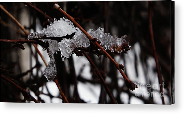 Snow Acrylic Print featuring the photograph Ice 3 by Linda Shafer