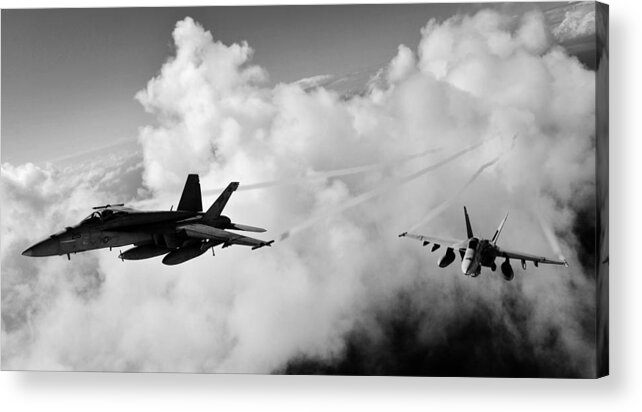F18 Acrylic Print featuring the photograph In The Nest by Benjamin Yeager
