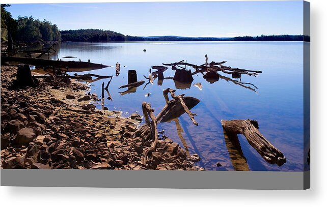 Lake Binney Acrylic Print featuring the photograph Lake Binney - Tasmania by Anthony Davey