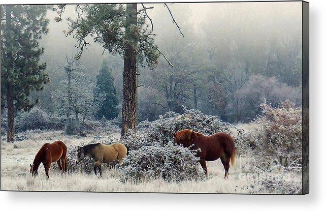 Landscape Acrylic Print featuring the photograph Los Tres Amigos by Julia Hassett
