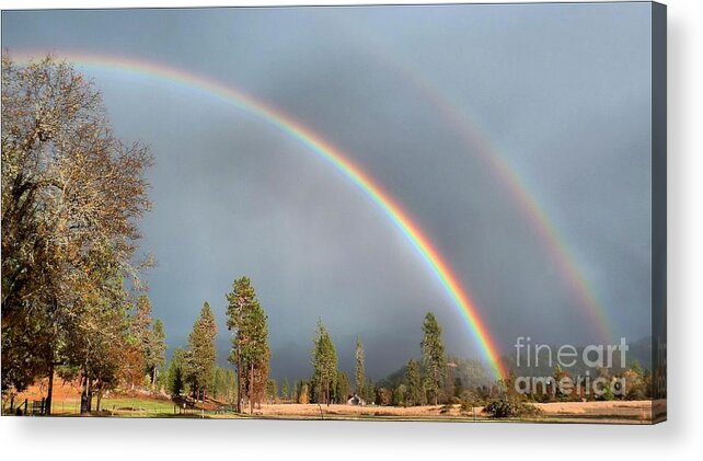 Landscape Acrylic Print featuring the photograph Oregon Rain by Julia Hassett