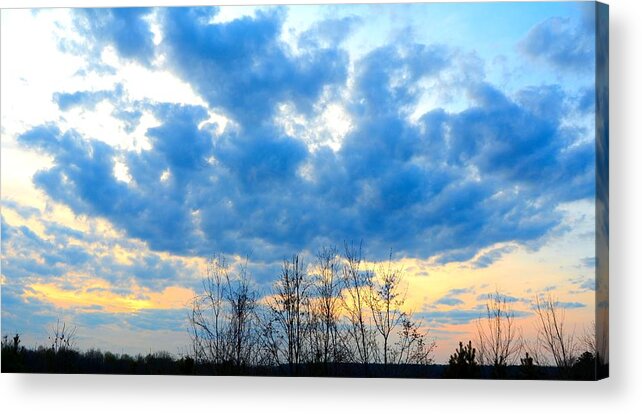 Blue Acrylic Print featuring the photograph Reach Out and Touch the Sky by Linda Bailey