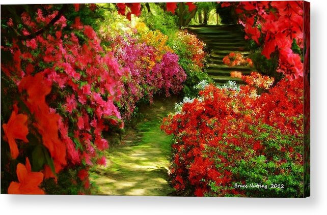 Red Acrylic Print featuring the painting Red Garden Walkway by Bruce Nutting