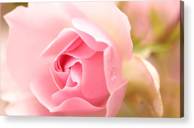 Connie Handscomb Acrylic Print featuring the photograph Silence Of The Heart by Connie Handscomb