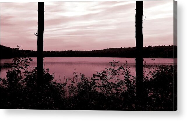 Lake Acrylic Print featuring the photograph Silk and Champagne by Danielle R T Haney