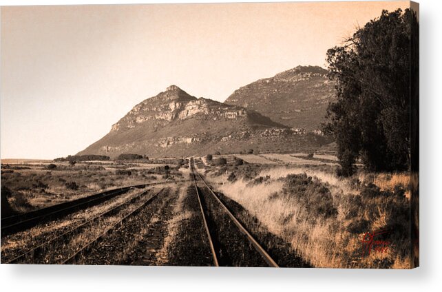 Desert Acrylic Print featuring the digital art Skurfkop Karoo South Africa by Vincent Franco