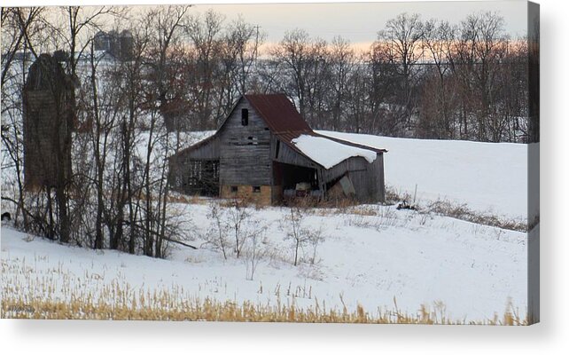 Shed Acrylic Print featuring the photograph Stumbling by Wild Thing