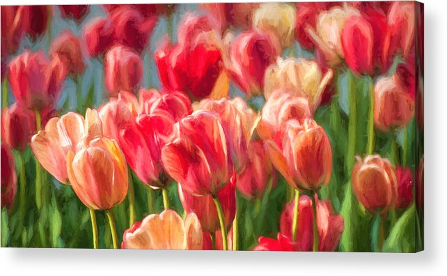 Tulips Acrylic Print featuring the photograph Tulips by Sylvia Rourke