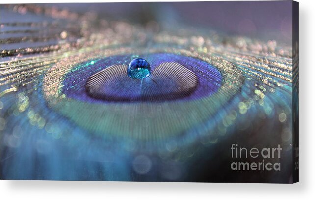 Peacock Feather Acrylic Print featuring the photograph We Won't Say Goodbye by Krissy Katsimbras