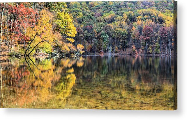 Cunningham Falls Acrylic Print featuring the photograph A Bright Spot by JC Findley