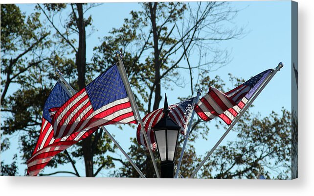 America Acrylic Print featuring the photograph American Beauty by James Hammen
