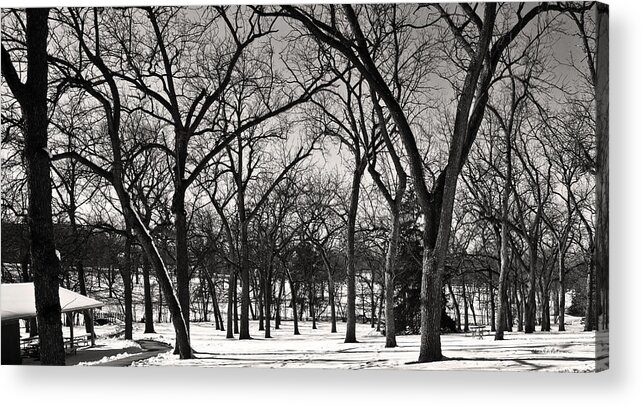 Winter Scene Acrylic Print featuring the photograph Bare by Ed Peterson