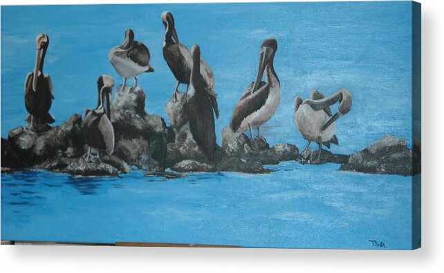 Pelicans Acrylic Print featuring the painting Usual Suspects by Teresa Smith