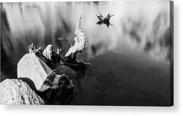 Dead Acrylic Print featuring the photograph Remnants in Water by Hillis Creative