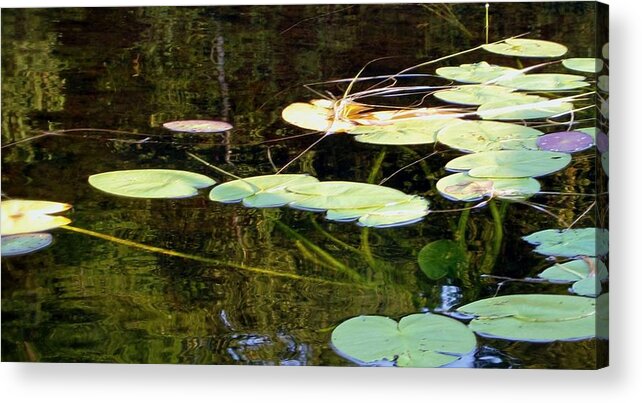 Lily Pads Acrylic Print featuring the photograph Lily Pads on the Lake by Mary Wolf