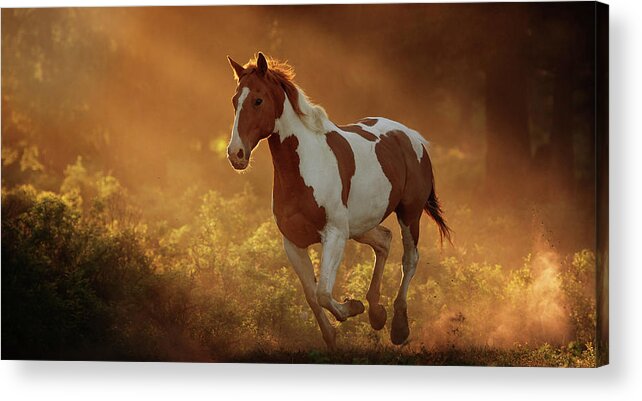 Three Bars Ranch Acrylic Print featuring the photograph Apache - Three Bars Ranch by Ryan Courson