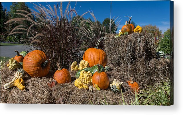 Autumn Acrylic Print featuring the photograph Autumn Harvest Display by Angelo Marcialis