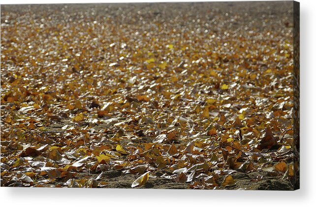 Nature Acrylic Print featuring the photograph Beach of Autumn Leaves by Trance Blackman