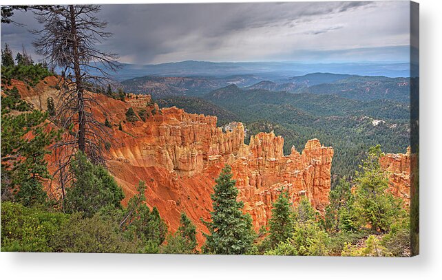 Bryce Acrylic Print featuring the photograph Bryce Squall by Peter Kennett