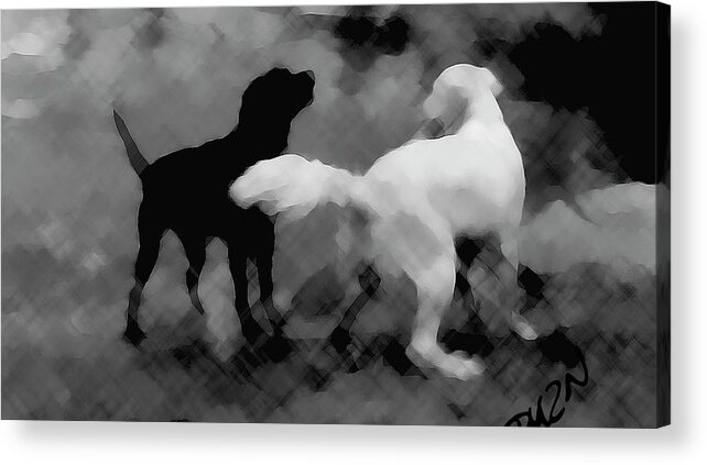 Dogs Acrylic Print featuring the photograph Challenger by Tom Dickson