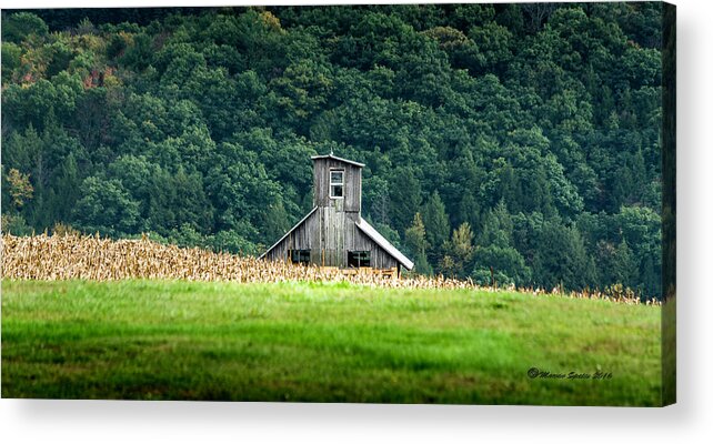 Grain Acrylic Print featuring the photograph Corn Field Silo by Marvin Spates