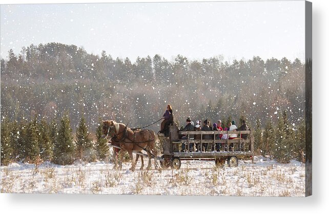 Horse Acrylic Print featuring the photograph Dashing Through the Snow by Inspired Arts