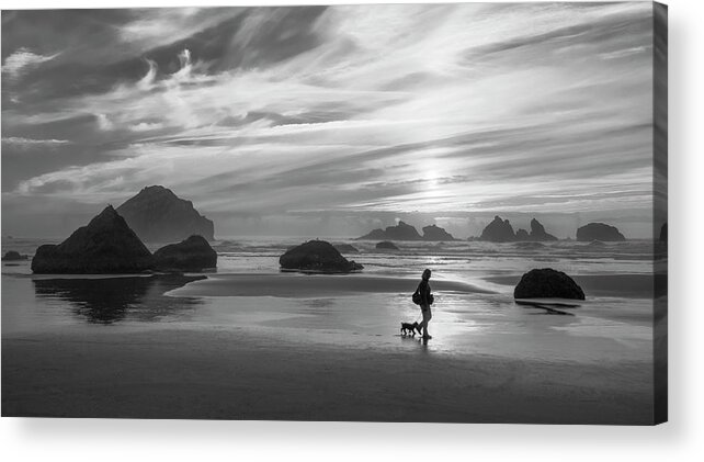 Landscapes Acrylic Print featuring the photograph Dog Walker BW by Steven Clark