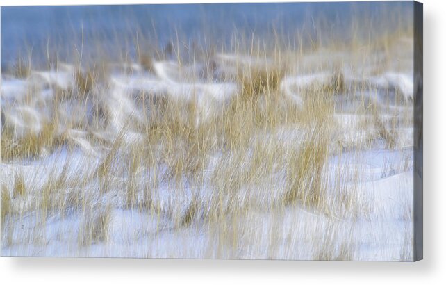 Dune Grasses Snowscape Acrylic Print featuring the photograph Dune Grasses Snowscape by Marty Saccone