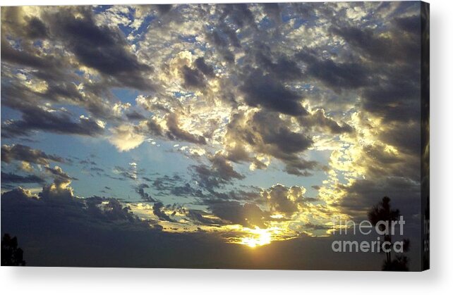 Sunrise Acrylic Print featuring the photograph Gather-Round by Tracy Evans