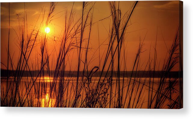 Sunset Acrylic Print featuring the photograph Golden Sunset at the Lake by John Williams