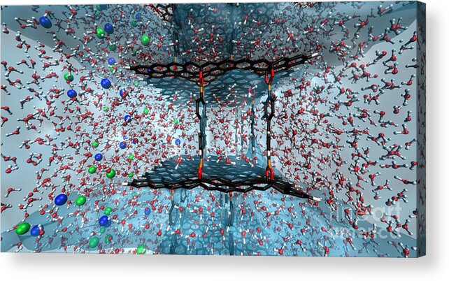 Science Acrylic Print featuring the photograph Graphene Oxide Nanotech Framework by Science Source