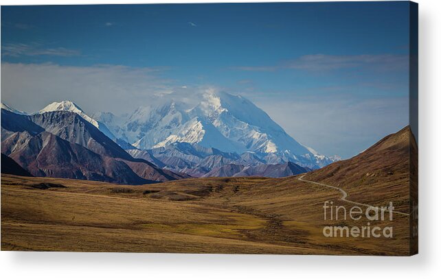 Mt Denali Acrylic Print featuring the photograph His Majesty Mt Denali by Eva Lechner