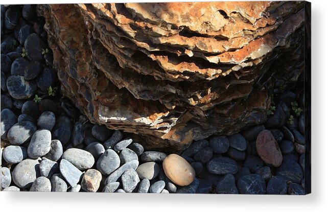 It Acrylic Print featuring the photograph It Takes Time by Elizabeth Sullivan