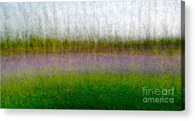 Bluebells Acrylic Print featuring the photograph Meadow Lark by Stacey Howard