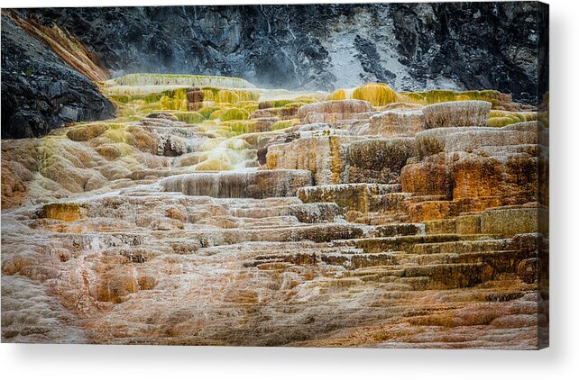 Mammoth Hot Springs Acrylic Print featuring the photograph Minerva Terrace by Rikk Flohr