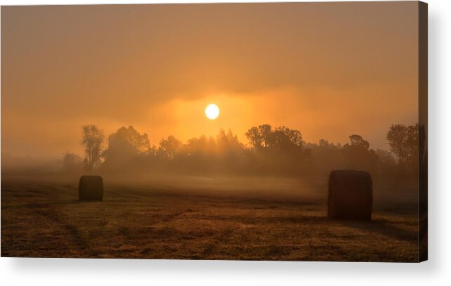 Landscape Acrylic Print featuring the photograph Morning On The Farm by Ron McGinnis