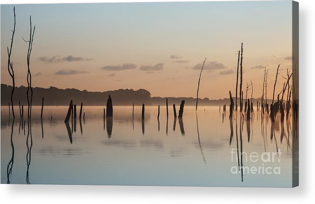 (calm Or Still) Acrylic Print featuring the photograph Pink and Blue Skies by Debra Fedchin