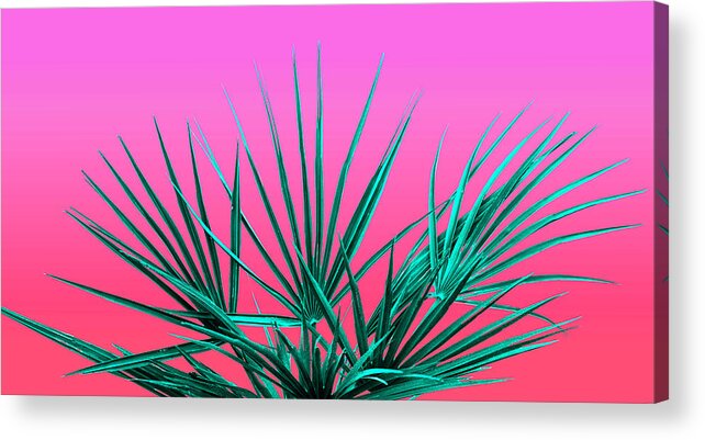 Vaporwave Acrylic Print featuring the photograph Pink Palm Life - Miami Vaporwave by Jennifer Walsh