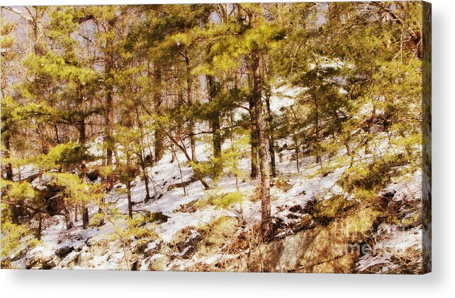 Winter Landscapes Acrylic Print featuring the photograph Prettyboy Reservoir by Chris Scroggins