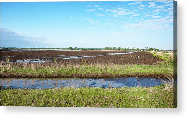 Fields Acrylic Print featuring the photograph Rainy Spring by Ed Peterson