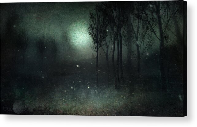  Acrylic Print featuring the digital art Solitude by Cybele Moon