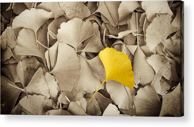 Autumn Acrylic Print featuring the photograph Standing Out in a Crowd by Joye Ardyn Durham