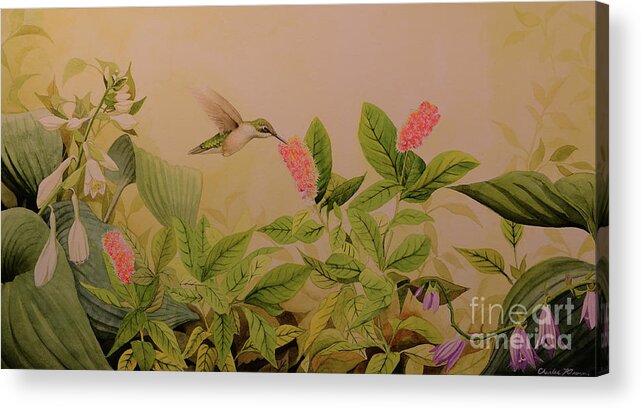 Bird Acrylic Print featuring the painting Summer So Sweet by Charles Owens
