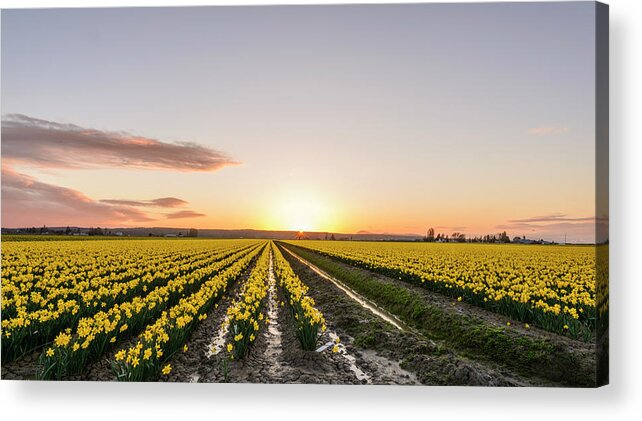 Skagit Valley Acrylic Print featuring the digital art Sunset in Skagit Valley by Michael Lee