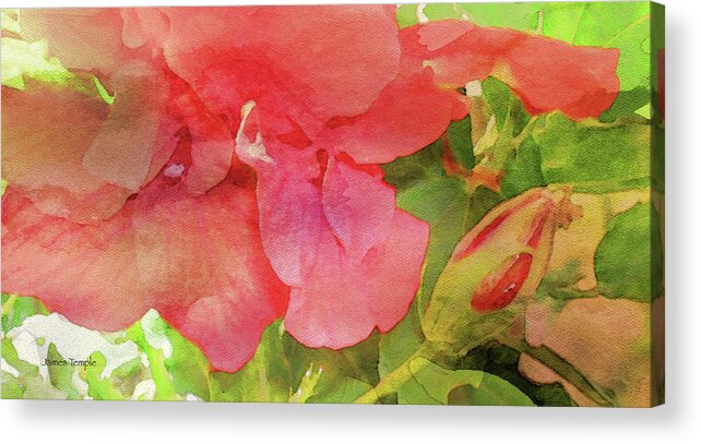 Digital Watercolor Acrylic Print featuring the digital art The Beauty of Spring by James Temple