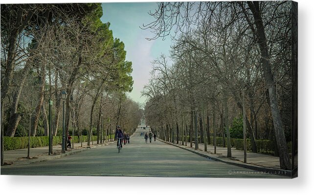 Park Acrylic Print featuring the photograph The Buen Retiro Park by Henri Irizarri
