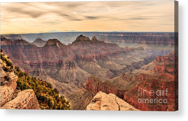 North Rim Acrylic Print featuring the photograph The North Rim by Robert Bales