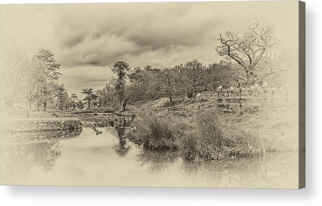 Landscape Acrylic Print featuring the photograph The Old Pond by Nick Bywater