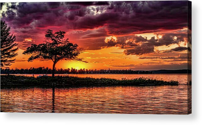 Sunset Acrylic Print featuring the photograph The tree by Joe Holley