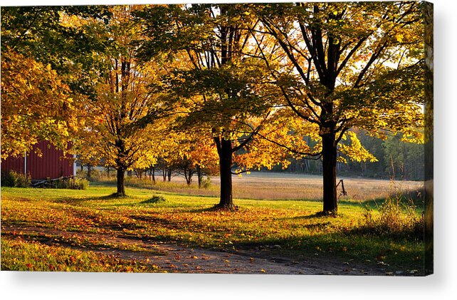 Fall Acrylic Print featuring the photograph Three sisters by Tim Nyberg